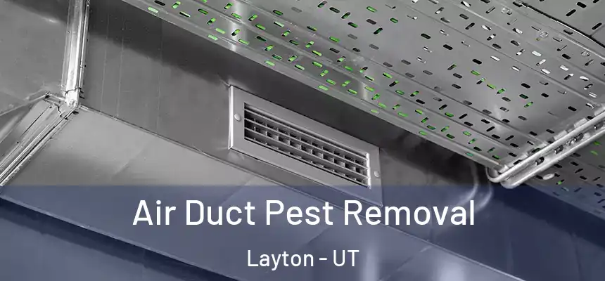 Air Duct Pest Removal Layton - UT