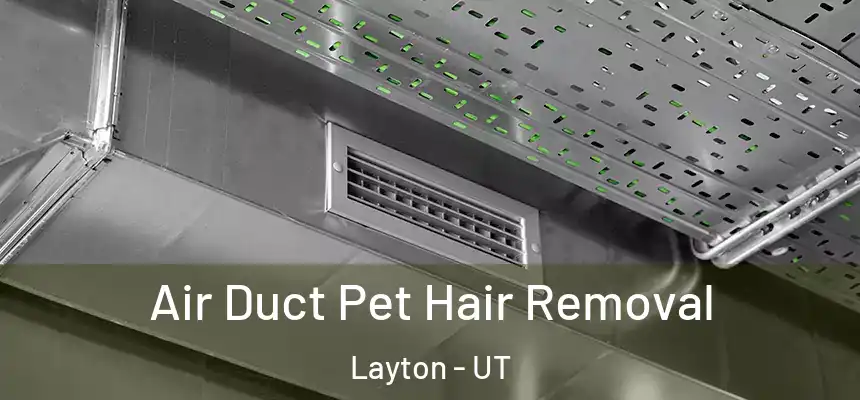 Air Duct Pet Hair Removal Layton - UT