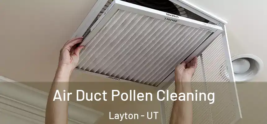 Air Duct Pollen Cleaning Layton - UT