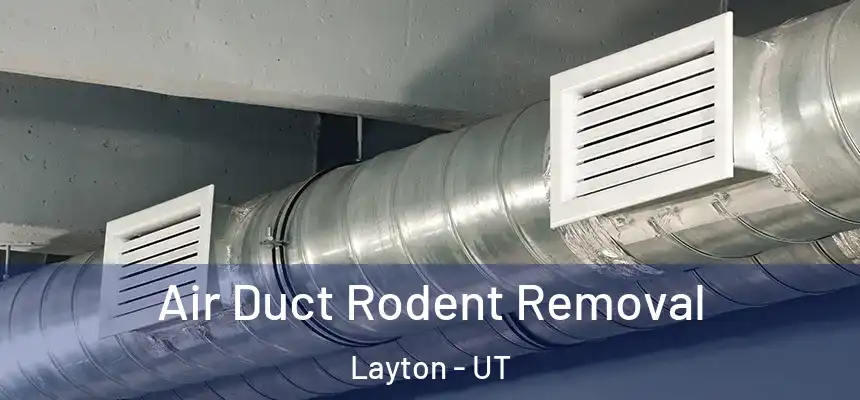 Air Duct Rodent Removal Layton - UT