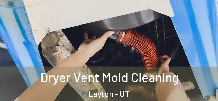 Dryer Vent Mold Cleaning Layton - UT