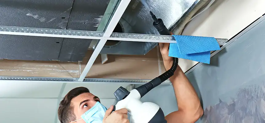Our Air Duct Rodent Removal Services in Layton, UT