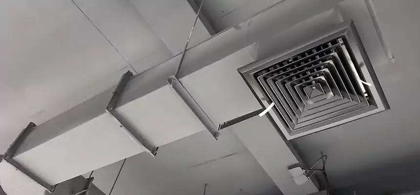 Our Pest Removal From Ducts Services in Layton, UT