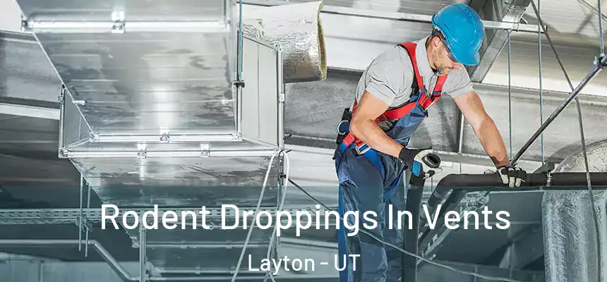 Rodent Droppings In Vents Layton - UT