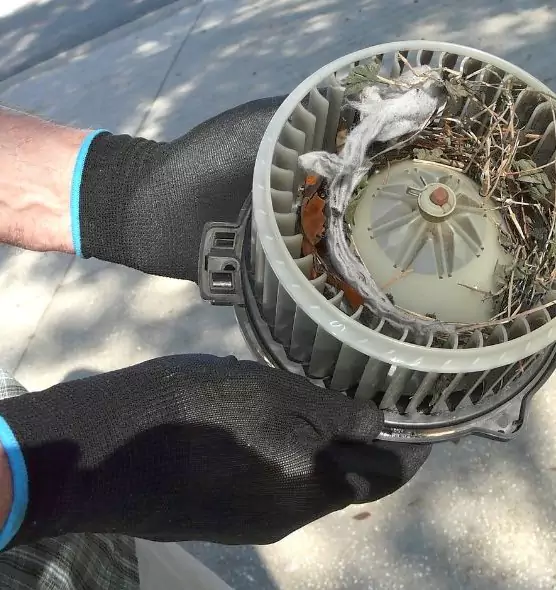 About Air Duct Rat Removal in Layton, UT