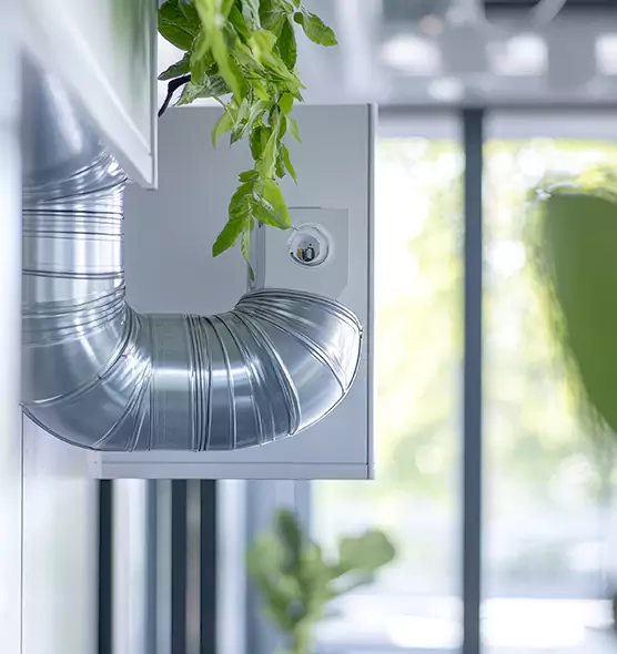 Professional Eco-Safe Dryer Vent Cleaning in Layton, UT