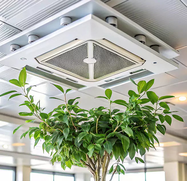 Why Homeowners & Businesses Trust Us in Layton, UT?