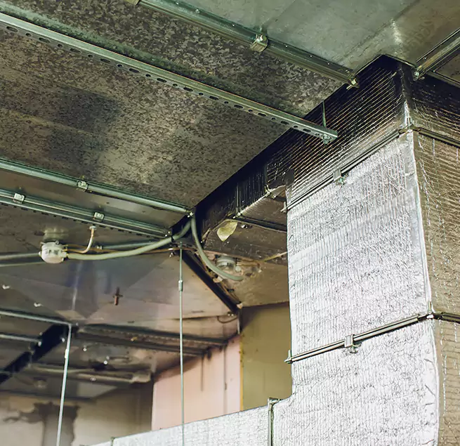 Why Homeowners & Businesses Trust Us in Layton, UT?